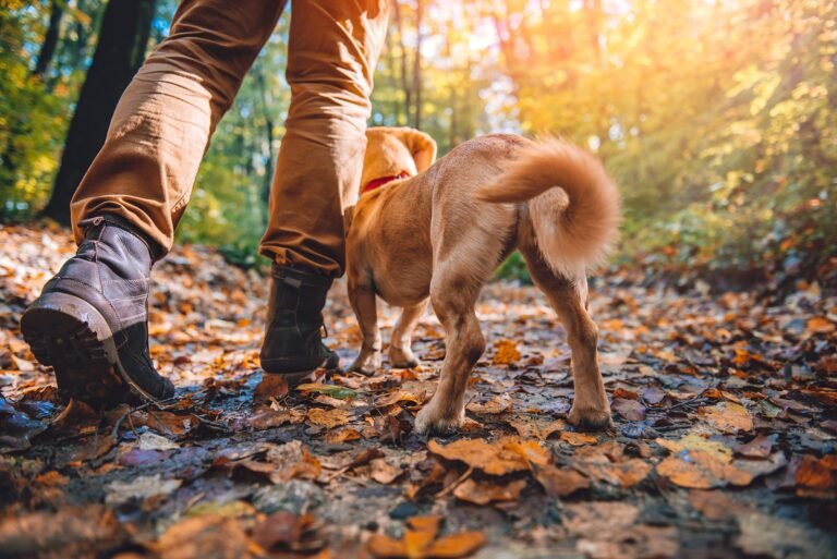 adobestock 126290243