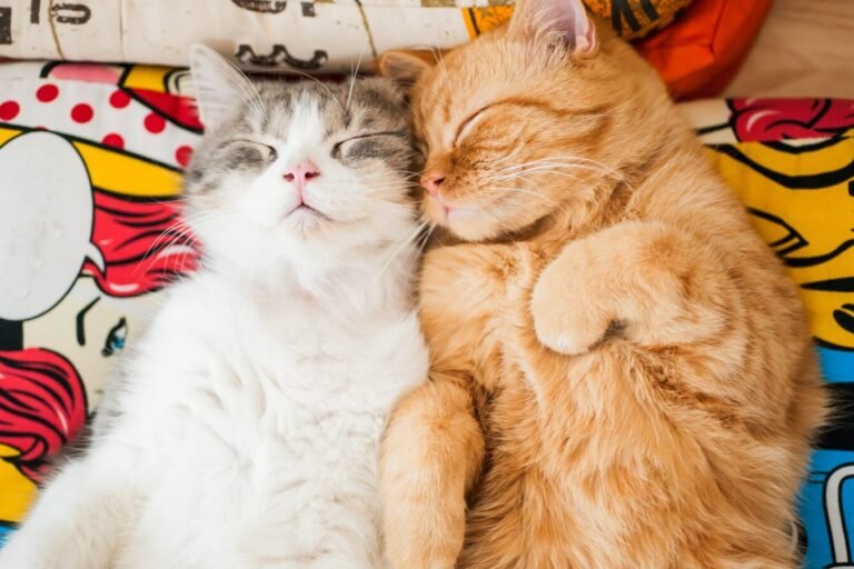 shutterstock 393108265 1440x900